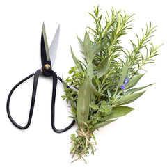 Bouquet Garni Fresh Herbs with Scissors Top View Isolated on White