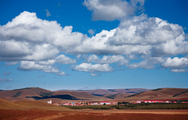 landscape of the Bashang grassland in Hebei, China