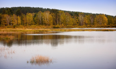 landscape of the Bashang grassland in Hebei, China