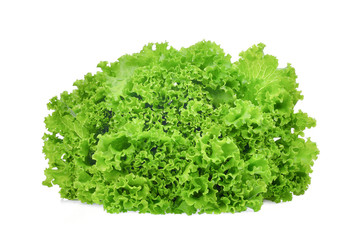 fresh green oak lettuce salad leaves isolated on white background