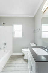 Fototapeta na wymiar Small bathroom in grey