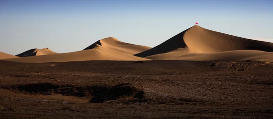 Fotobehang Chocoladebruin The scenery of desert in Ejina, Inner Mongolia, China  © 辉 李