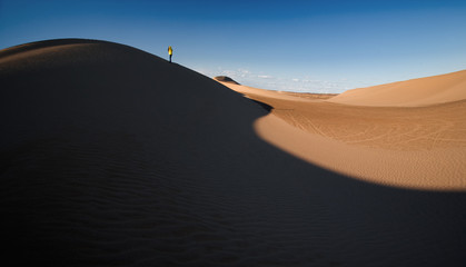 Fototapeta na wymiar The scenery of desert in Ejina, Inner Mongolia, China