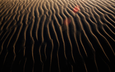 The scenery of desert in Ejina, Inner Mongolia, China