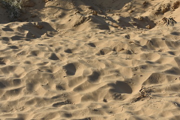 footprints in the sand