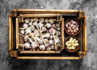 Fresh garlic in an old box.