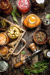 Various preserved vegetables and mushrooms with seamer and spices.