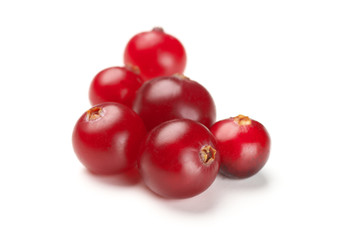 Cranberries close-up on white