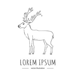Hand drawn doodle Canada deer icon Vector illustration isolated animal symbol on white background Cartoon element doe, stag, reindeer, moose, horn, antler, elk