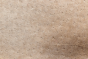 Chamois leather texture can use as natural background