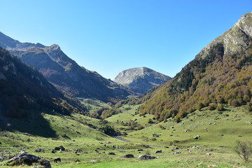 Fototapeta na wymiar Tal in den Französichen Pyrenäen