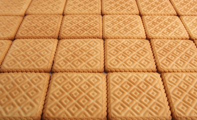 Scuare cookies background. Biscuit texture background.