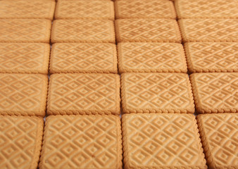 Scuare cookies background. Biscuit texture background.