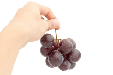 red ripe grapes on hand. Isolated on a white background