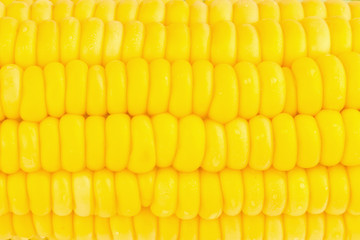yellow corn background , texture yellow corn. beautiful.. fresh corn