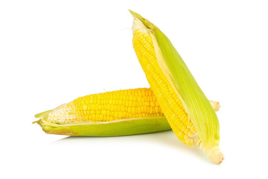 corn fresh isolated on white background