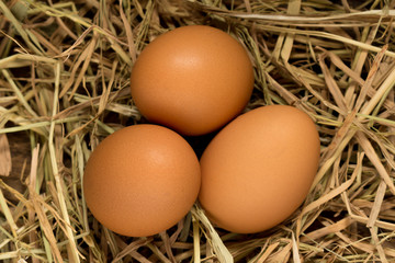 egg. straw. on wood