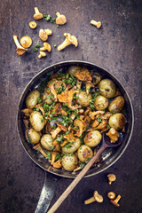 Fresh fried chanterelle with potatoes as top view in a casserole