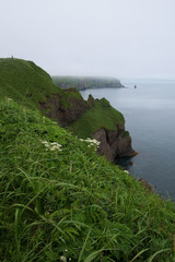 Green and steep rocky cliffs of Kiritappu cape, Hokkaido, Japan