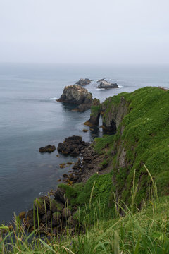 Green and steep rocky cliffs of Kiritappu cape, Hokkaido, Japan