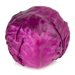 Obraz premium Purple Cabbage isolated on white background