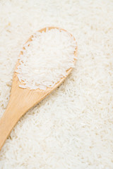Jasmine rice
