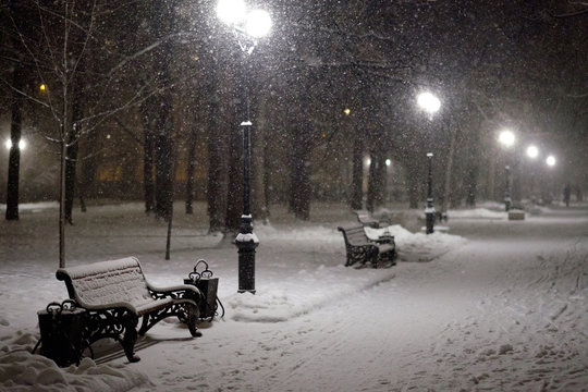 Beautiful snowy night park with benches at blizzard with lots of snowflakes in a night street light.