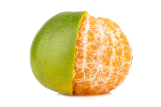 tangerine. sweet orange. on white background