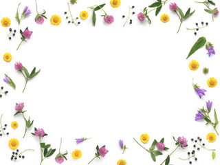 Fototapeta premium Composition pattern from plants, wild flowers and red berries, isolated on white background, flat lay, top view. The concept of summer, spring, Mother's Day, March 8. Frame of flowers and berries.
