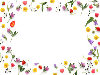 Fototapeta premium Composition pattern from plants, wild flowers and red berries, isolated on white background, flat lay, top view. The concept of summer, spring, Mother's Day, March 8. Frame of flowers and berries.