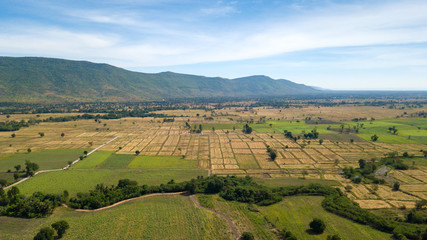 aerial view from drone of paddy filed