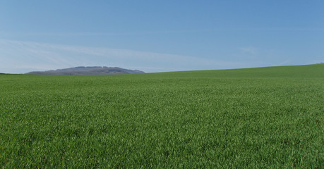 Obraz premium Verdi colline