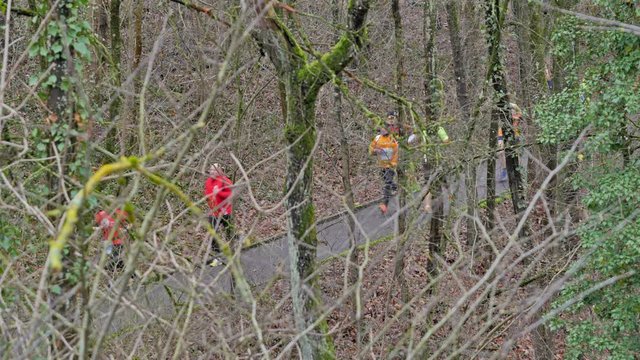 Marathon through the woods