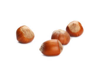pile hazelnuts isolated white background