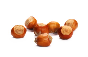 pile hazelnuts isolated white background