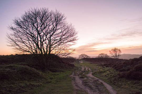 Sunrise On Stanton Moor