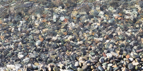 Texture. Marine multi-colored stones.