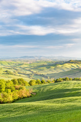 Rural rolling landscape view with fields and groves of trees in a valley