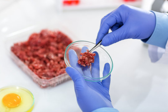 Taking sample of meat to test at laboratory