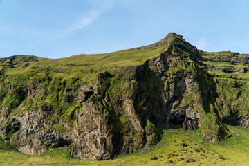Arctic landscape with a mountains, bright yellow grass and moss, Iceland