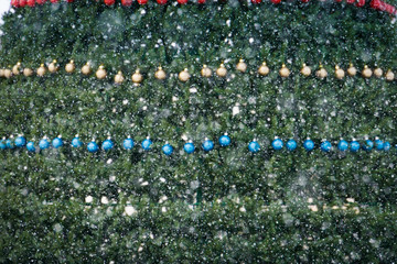 Decorated Christmas Tree