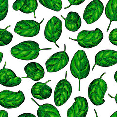 Spinach leaves hand drawn vector seamless pattern. Isolated draw