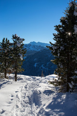 Wintery mountain landscape with sunshine