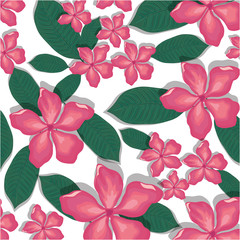 Floral pattern background