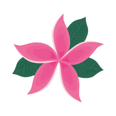 Beautiful flower symbol