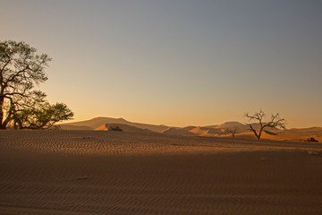 Fototapeta na wymiar Sunrise in the sand dunes of Sossusvlei, Namibia