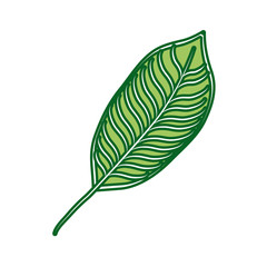 Obraz premium Leaf eco symbol