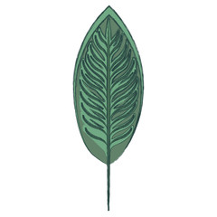 Leaf eco symbol