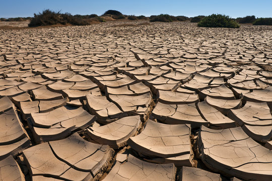 Dry cracked earth - Namib Desert - Namibia