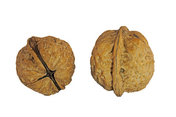 Zwei Walnüsse freigestellt